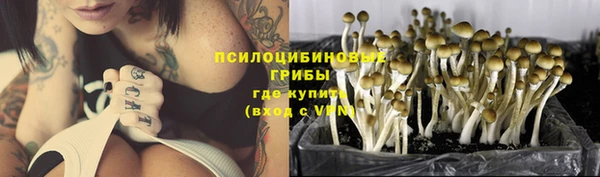 гашик Киренск