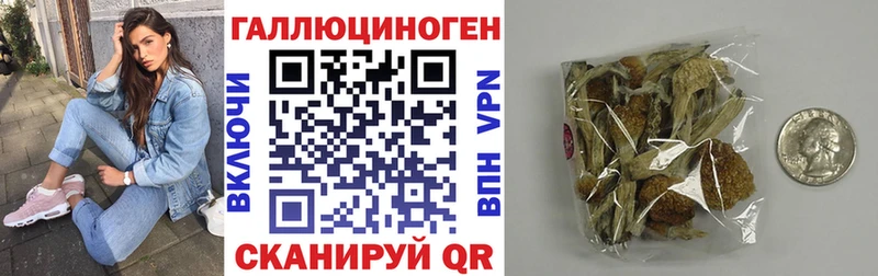 Галлюциногенные грибы Psilocybine cubensis  Купить закладки  Бологое 